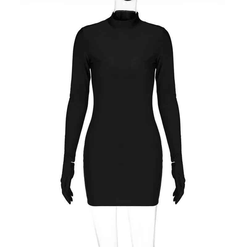 Women's Mini Dress | Long Sleeve Mini Dress | Chic Hot Club