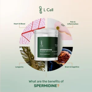 Shop Longevity Supplements